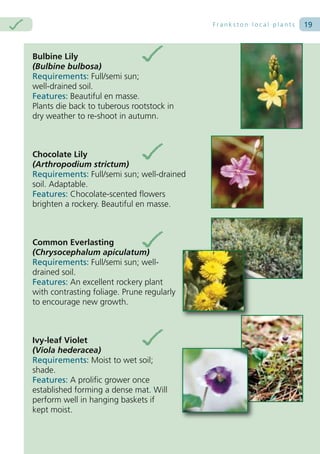 Frankston local plants   19



Bulbine Lily
(Bulbine bulbosa)
Requirements: Full/semi sun;
well-drained soil.
Features: Beautiful en masse.
Plants die back to tuberous rootstock in
dry weather to re-shoot in autumn.



Chocolate Lily
(Arthropodium strictum)
Requirements: Full/semi sun; well-drained
soil. Adaptable.
Features: Chocolate-scented flowers
brighten a rockery. Beautiful en masse.



Common Everlasting
(Chrysocephalum apiculatum)
Requirements: Full/semi sun; well-
drained soil.
Features: An excellent rockery plant
with contrasting foliage. Prune regularly
to encourage new growth.



Ivy-leaf Violet
(Viola hederacea)
Requirements: Moist to wet soil;
shade.
Features: A prolific grower once
established forming a dense mat. Will
perform well in hanging baskets if
kept moist.
 