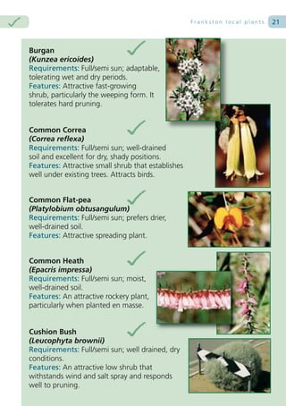 Frankston local plants   21



Burgan
(Kunzea ericoides)
Requirements: Full/semi sun; adaptable,
tolerating wet and dry periods.
Features: Attractive fast-growing
shrub, particularly the weeping form. It
tolerates hard pruning.


Common Correa
(Correa reflexa)
Requirements: Full/semi sun; well-drained
soil and excellent for dry, shady positions.
Features: Attractive small shrub that establishes
well under existing trees. Attracts birds.


Common Flat-pea
(Platylobium obtusangulum)
Requirements: Full/semi sun; prefers drier,
well-drained soil.
Features: Attractive spreading plant.


Common Heath
(Epacris impressa)
Requirements: Full/semi sun; moist,
well-drained soil.
Features: An attractive rockery plant,
particularly when planted en masse.


Cushion Bush
(Leucophyta brownii)
Requirements: Full/semi sun; well drained, dry
conditions.
Features: An attractive low shrub that
withstands wind and salt spray and responds
well to pruning.
 