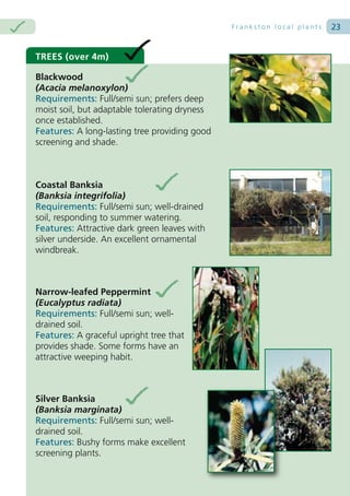 Frankston local plants   23


TREES (over 4m)

Blackwood
(Acacia melanoxylon)
Requirements: Full/semi sun; prefers deep
moist soil, but adaptable tolerating dryness
once established.
Features: A long-lasting tree providing good
screening and shade.



Coastal Banksia
(Banksia integrifolia)
Requirements: Full/semi sun; well-drained
soil, responding to summer watering.
Features: Attractive dark green leaves with
silver underside. An excellent ornamental
windbreak.



Narrow-leafed Peppermint
(Eucalyptus radiata)
Requirements: Full/semi sun; well-
drained soil.
Features: A graceful upright tree that
provides shade. Some forms have an
attractive weeping habit.



Silver Banksia
(Banksia marginata)
Requirements: Full/semi sun; well-
drained soil.
Features: Bushy forms make excellent
screening plants.
 
