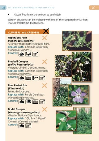 26   Sustainable Gardening in Frankston City


     •    Always freshly mix the amount to do the job.
     Garden escapees can be replaced with one of the suggested similar non-
     invasive indigenous plants listed.


     CLIMBERS and CREEPERS
     Asparagus Fern
     (Asparagus scandens)
     A climber that smothers ground flora.
     Replace with: Common Appleberry
     (Billardiera scandens).
     Control:


     Bluebell Creeper
     (Sollya heterophylla)
     Vigorous climber. Contains toxins.
     Replace with: Common Appleberry
     (Billardiera scandens).
     Control:


     Blue Periwinkle
     (Vinca major)
     Forms thick carpets.
     Replace with: Purple Coral-pea
     (Hardenbergia violacea).
     Control:


     Bridal Creeper
     (Asparagus asparagoides)
     Weed of National Significance.
     Replace with: ”Old Man’s Beard“
     Clematis (Clematis aristata).
     Control:
 