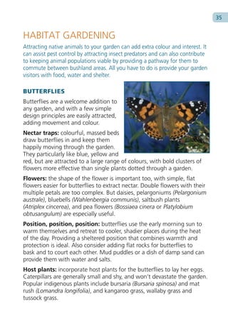 35


HABITAT GARDENING
Attracting native animals to your garden can add extra colour and interest. It
can assist pest control by attracting insect predators and can also contribute
to keeping animal populations viable by providing a pathway for them to
commute between bushland areas. All you have to do is provide your garden
visitors with food, water and shelter.

BUTTERFLIES
Butterflies are a welcome addition to
any garden, and with a few simple
design principles are easily attracted,
adding movement and colour.
Nectar traps: colourful, massed beds
draw butterflies in and keep them
happily moving through the garden.
They particularly like blue, yellow and
red, but are attracted to a large range of colours, with bold clusters of
flowers more effective than single plants dotted through a garden.
Flowers: the shape of the flower is important too, with simple, flat
flowers easier for butterflies to extract nectar. Double flowers with their
multiple petals are too complex. But daisies, pelargoniums (Pelargonium
australe), bluebells (Wahlenbergia communis), saltbush plants
(Atriplex cincerea), and pea flowers (Bossiaea cinera or Platylobium
obtusangulum) are especially useful.
Position, position, position: butterflies use the early morning sun to
warm themselves and retreat to cooler, shadier places during the heat
of the day. Providing a sheltered position that combines warmth and
protection is ideal. Also consider adding flat rocks for butterflies to
bask and to court each other. Mud puddles or a dish of damp sand can
provide them with water and salts.
Host plants: incorporate host plants for the butterflies to lay her eggs.
Caterpillars are generally small and shy, and won’t devastate the garden.
Popular indigenous plants include bursaria (Bursaria spinosa) and mat
rush (Lomandra longifolia), and kangaroo grass, wallaby grass and
tussock grass.
 