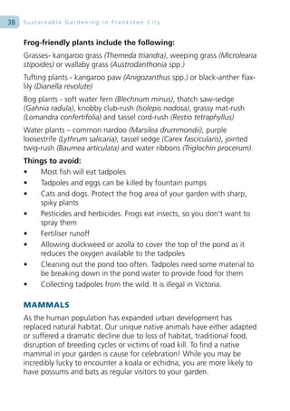 38   Sustainable Gardening in Frankston City


     Frog-friendly plants include the following:
     Grasses- kangaroo grass (Themeda triandra), weeping grass (Microleana
     stipoides) or wallaby grass (Austrodanthonia spp.)
     Tufting plants - kangaroo paw (Anigozanthus spp.) or black-anther flax-
     lily (Dianella revolute)
     Bog plants - soft water fern (Blechnum minus), thatch saw-sedge
     (Gahnia radula), knobby club-rush (Isolepis nodosa), grassy mat-rush
     (Lomandra confertifolia) and tassel cord-rush (Restio tetraphyllus)
     Water plants – common nardoo (Marsilea drummondii), purple
     loosestrife (Lythrum salicaria), tassel sedge (Carex fascicularis), jointed
     twig-rush (Baumea articulata) and water ribbons (Triglochin procerum).
     Things to avoid:
     •   Most fish will eat tadpoles
     •   Tadpoles and eggs can be killed by fountain pumps
     •   Cats and dogs. Protect the frog area of your garden with sharp,
         spiky plants
     •   Pesticides and herbicides. Frogs eat insects, so you don’t want to
         spray them
     •   Fertiliser runoff
     •   Allowing duckweed or azolla to cover the top of the pond as it
         reduces the oxygen available to the tadpoles
     •   Cleaning out the pond too often. Tadpoles need some material to
         be breaking down in the pond water to provide food for them
     •   Collecting tadpoles from the wild. It is illegal in Victoria.

     MAMMALS
     As the human population has expanded urban development has
     replaced natural habitat. Our unique native animals have either adapted
     or suffered a dramatic decline due to loss of habitat, traditional food,
     disruption of breeding cycles or victims of road kill. To find a native
     mammal in your garden is cause for celebration! While you may be
     incredibly lucky to encounter a koala or echidna, you are more likely to
     have possums and bats as regular visitors to your garden.
 
