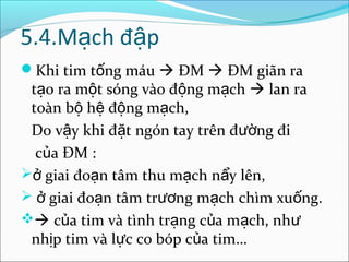 5.4.Mạch đập
Khi tim tống máu  ĐM  ĐM giãn ra
 tạo ra một sóng vào động mạch  lan ra
 toàn bộ hệ động mạch,
 Do vậy khi đặt ngón tay trên đường đi
  của ĐM :
ở giai đoạn tâm thu mạch nẩy lên,
 ở giai đoạn tâm trương mạch chìm xuống.
 của tim và tình trạng của mạch, như
 nhịp tim và lực co bóp của tim…
 
