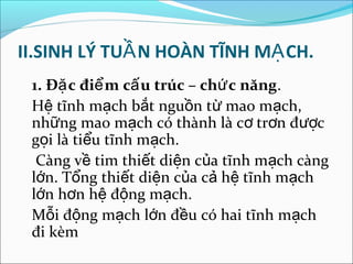 II.SINH LÝ TUẦ N HOÀN TĨNH MẠ CH.
 1. Đặ c điể m cấ u trúc – chứ c năng.
 Hệ tĩnh mạch bắt nguồn từ mao mạch,
 những mao mạch có thành là cơ trơn được
 gọi là tiểu tĩnh mạch.
  Càng về tim thiết diện của tĩnh mạch càng
 lớn. Tổng thiết diện của cả hệ tĩnh mạch
 lớn hơn hệ động mạch.
 Mỗi động mạch lớn đều có hai tĩnh mạch
 đi kèm
 