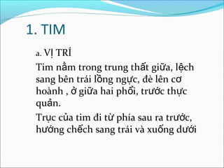 1. TIM
 a. VỊ
     TRÍ
 Tim nằm trong trung thất giữa, lệch
 sang bên trái lồng ngực, đè lên cơ
 hoành , ở giữa hai phổi, trước thực
 quản.
 Trục của tim đi từ phía sau ra trước,
 hướng chếch sang trái và xuống dưới
 