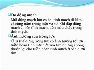 Do độ ng mạ ch
 Mỗi động mạch lớn có hai tĩnh mạch đi kèm
 và cùng nằm trong một vỏ xơ. Khi đập động
 mạch ép lên tĩnh mạch, dồn máu chảy trong
 tĩnh mạch.
Ả nh hưở ng củ a trọ ng lự c
 Ở tư thế đứng trọng lực có ảnh hưởng tốt tới
 tuần hoàn tĩnh mạch ở trên tim nhưng không
 thuận lợi cho tuần hòan tĩnh mạch ở bên dưới
 tim.
 