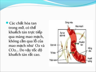 Các chất hòa tan
 trong mỡ, có thể
 khuếch tán trực tiếp
 qua màng mao mạch,
 không cần qua lỗ của
 mao mạch như O2 và
 CO2… Do vậy tốc độ
 khuếch tán rất cao.
 