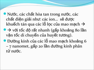 Nước, các chất hòa tan trong nước, các
 chất điện giải như: các ion… sẽ được
 khuếch tán qua các lỗ lọc của mao mạch 
 với tốc độ rất nhanh (gấp khoảng 80 lần
 vận tốc di chuyển của huyết tương).
Đường kính của các lỗ mao mạch khoảng 6
 – 7 nanomet, gấp 20 lần đường kính phân
 tử nước.
 