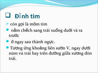  Đỉ nh tim
 còn gọi là mỏm tim
 nằm chếch sang trái xuống duới và ra
 trước
 ở ngay sau thành ngực.
Tương ứng khoảng liên sườn V, ngay dưới
 núm vú trái hay trên đường giữa xương đòn
 trái.
 