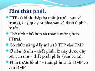 Tâm thấ t phả i.
TTP có hình tháp ba mặt (trước, sau và
 trong), đáy quay ra phía sau và đỉnh ở phía
 trước,
Thể tích nhỏ hơn và thành mỏng hơn
 TTtrái.
Có chức năng đẩy máu từ TTP vào ĐMP
Ở nền lỗ nhĩ – thất phải, lỗ này được đậy
 bởi van nhĩ – thất phải phải (van ba lá).
Phía trước lỗ nhĩ – thất phải là lỗ ĐMP có
 van ĐMP
 