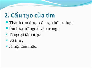 2. Cấ u tạ o củ a tim
Thành tim được cấu tạo bởi ba lớp:
lần lượt từ ngoài vào trong:
 là ngoại tâm mạc,
 cơ tim ,
và nội tâm mạc.
 