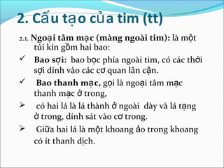 2. Cấ u tạ o củ a tim (tt)
2.1. Ngoạ i tâm mạ c (màng ngoài tim): là một
    túi kín gồm hai bao:
   Bao sợ i: bao bọc phía ngoài tim, có các thới
    sợi dính vào các cơ quan lân cận.
    Bao thanh mạ c, gọi là ngoại tâm mạc
    thanh mạc ở trong,
    có hai lá là lá thành ở ngoài dày và lá tạng
    ở trong, dính sát vào cơ trong.
    Giữa hai lá là một khoang ảo trong khoang
    có ít thanh dịch.
 