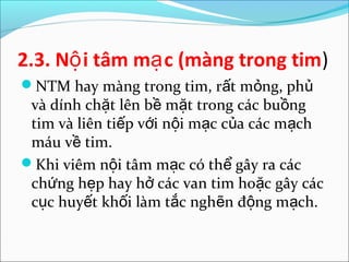 2.3. Nộ i tâm mạ c (màng trong tim)
NTM hay màng trong tim, rất mỏng, phủ
 và dính chặt lên bề mặt trong các buồng
 tim và liên tiếp với nội mạc của các mạch
 máu về tim.
Khi viêm nội tâm mạc có thể gây ra các
 chứng hẹp hay hở các van tim hoặc gây các
 cục huyết khối làm tắc nghẽn động mạch.
 