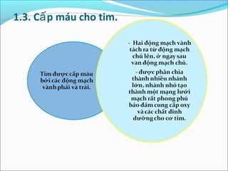 1.3. Cấ p máu cho tim.
 