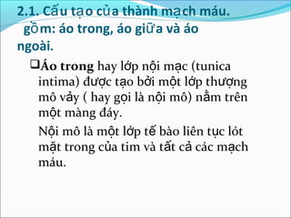 2.1. Cấ u tạ o củ a thành mạ ch máu.
 gồ m: áo trong, áo giữ a và áo
ngoài.
  Áo trong hay lớp nội mạc (tunica
   intima) được tạo bởi một lớp thượng
   mô vảy ( hay gọi là nội mô) nằm trên
   một màng đáy.
   Nội mô là một lớp tế bào liên tục lót
   mặt trong của tim và tất cả các mạch
   máu.
 