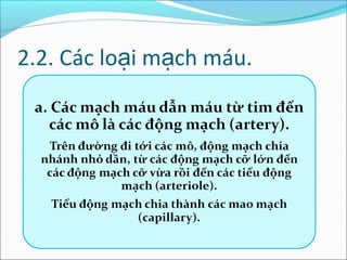 2.2. Các loại mạch máu.
 
