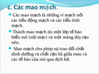 c. Các mao mạ ch.
Các mao mạch là những vi mạch nối
 các tiểu động mạch và các tiểu tĩnh
 mạch.
Thành mao mạch do một lớp tế bào
 biểu mô (nội mạc) và một màng đáy tạo
 nên.
 Mao mạch cho phép sự trao đổi chất
 dinh dưỡng và chất cặn bã giữa máu và
 các tế bào của mô qua dịch kẽ.
 