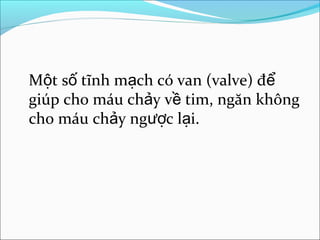 Một số tĩnh mạch có van (valve) để
giúp cho máu chảy về tim, ngăn không
cho máu chảy ngược lại.
 
