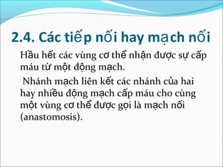 2.4. Các tiế p nố i hay mạ ch nố i
 Hầu hết các vùng cơ thể nhận được sự cấp
 máu từ một động mạch.
  Nhánh mạch liên kết các nhánh của hai
 hay nhiều động mạch cấp máu cho cùng
 một vùng cơ thể được gọi là mạch nối
 (anastomosis).
 