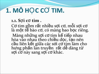 1. MÔ HỌ C CƠ TIM.
 1.1. Sợ i cơ tim .
 Cơ tim gồm rất nhiều sợi cơ, mỗi sợi cơ
 là một tế bào cơ, có màng bao bọc riêng.
  Màng những sợi cơ tim kế tiếp nhau
 hòa vào nhau theo chiều dọc, tạo nên
 cầu liên kết giữa các sơi cơ tim làm cho
 hưng phấn lan truyền rất dễ dàng từ
 sợi cơ này sang sợi cơ khác.
 