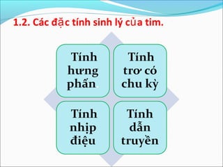 1.2. Các đặ c tính sinh lý củ a tim.
 