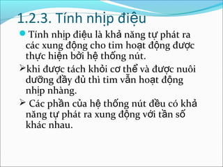 1.2.3. Tính nhịp điệu
Tính nhịp điệu là khả năng tự phát ra
 các xung động cho tim hoạt động được
 thực hiện bởi hệ thống nút.
khi được tách khỏi cơ thể và được nuôi
 dưỡng đầy đủ thì tim vẫn hoạt động
 nhịp nhàng.
 Các phần của hệ thống nút đều có khả
 năng tự phát ra xung động với tần số
 khác nhau.
 