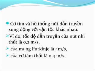 Cơ tim và hệ thống nút dẫn truyền
 xung động với vận tốc khác nhau.
Ví dụ, tốc độ dẫn truyền của nút nhĩ
 thất là 0,2 m/s,
 của mạng Purkinje là 4m/s,
 của cơ tâm thất là 0,4 m/s.
 