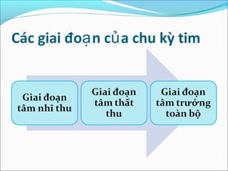 Các giai đoạ n củ a chu kỳ tim
 