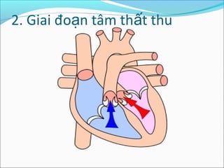 2. Giai đoạn tâm thất thu
 