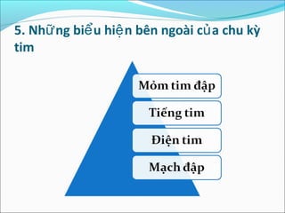 5. Nhữ ng biể u hiệ n bên ngoài củ a chu kỳ
tim
 
