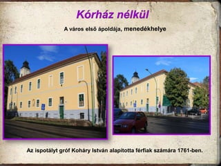 A város első ápoldája, menedékhelye

Az ispotályt gróf Koháry István alapította férfiak számára 1761-ben.

 