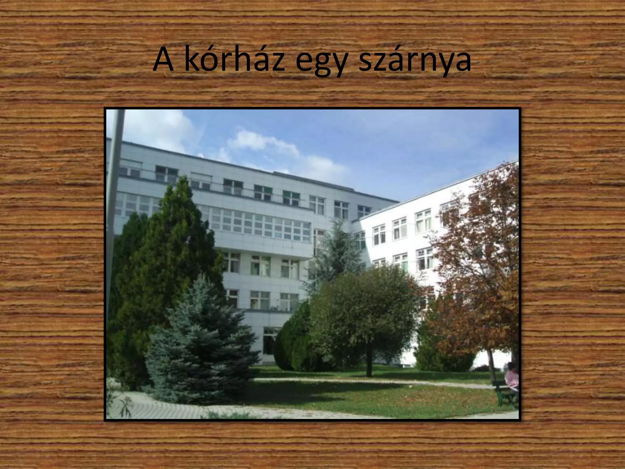 A kórház egy szárnya

 