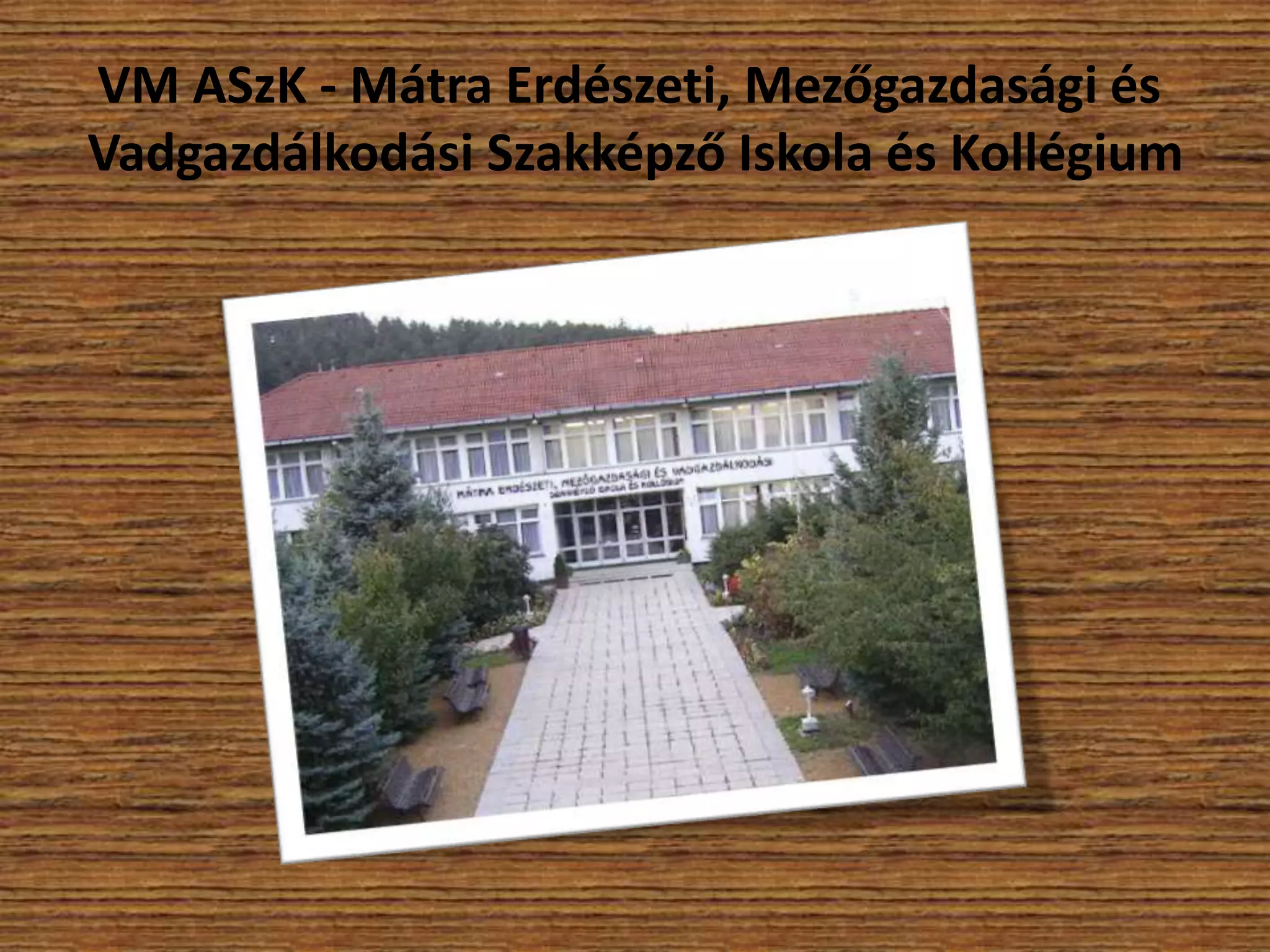 VM ASzK - Mátra Erdészeti, Mezőgazdasági és
Vadgazdálkodási Szakképző Iskola és Kollégium

 