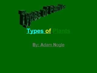 Types of Plants
By: Adam Nogle
 