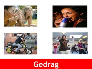 Gedrag 