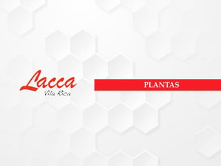 PLANTAS
 