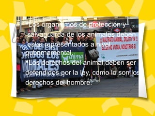 Los organismos de protección y
salvaguarda de los animales deben
estar representados a nivel
gubernamental.
Los derechos del animal deben ser
defendidos por la ley, como lo son los
derechos del hombre.
 