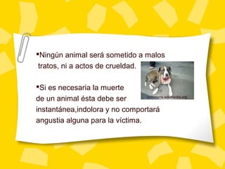 Ningún animal será sometido a malos
tratos, ni a actos de crueldad.
Si es necesaria la muerte
de un animal ésta debe ser
instantánea,indolora y no comportará
angustia alguna para la víctima.
commons.wikimedia.org
 