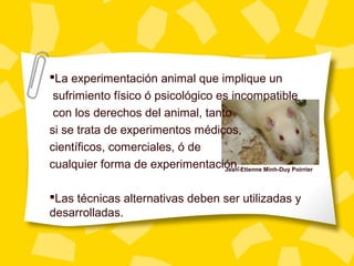 La experimentación animal que implique un
sufrimiento físico ó psicológico es incompatible
con los derechos del animal, tanto
si se trata de experimentos médicos,
científicos, comerciales, ó de
cualquier forma de experimentación.
Las técnicas alternativas deben ser utilizadas y
desarrolladas.
Jean-Etienne Minh-Duy Poirrier
 