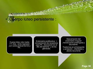 Page 38
• Cuerpo lúteo persistente :
Cuerpo lúteo vida media
>11 días , lenta regresión
,con caída gradual de ES y
P4 .
Endometrio proliferativo <
concentración de receptores
para P4 , disociación en el
dllo del estroma y de las
glándulas.
Descamación del
endometrio irregular
,menstruación prolongada y
abundante.
Trastornos en el transporte
y anidación , infertilidad y
aborto recurrente
 
