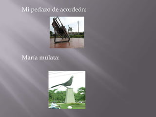 Mi pedazo de acordeón:María mulata: