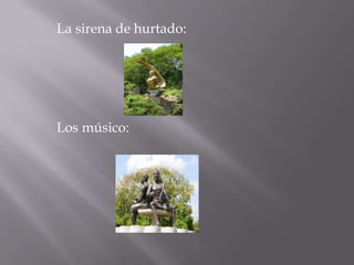 La sirena de hurtado:Los músico: