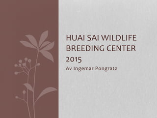 Av	
  Ingemar	
  Pongratz	
  
HUAI	
  SAI	
  WILDLIFE	
  
BREEDING	
  CENTER	
  
2015	
  
 