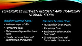 HUAMAN & MICROBIAL INTERACTION.pptx (By Mumtaz Ali Khan) | PPT