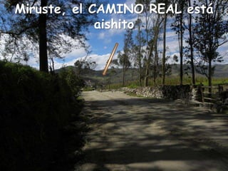 Miruste, el CAMINO REAL está aishito