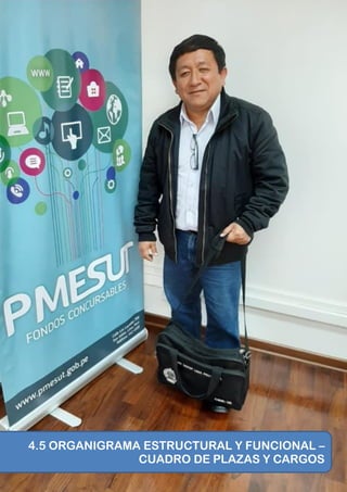 Proyecto Educativo Institucional 2019 - 2026 118
4.5 ORGANIGRAMA ESTRUCTURAL Y FUNCIONAL –
CUADRO DE PLAZAS Y CARGOS
 