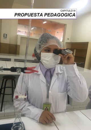 Proyecto Educativo Institucional 2019 - 2026 61
CAPITULO III
PROPUESTA PEDAGOGICA
 