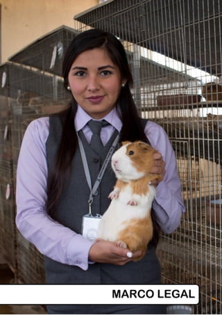 Proyecto Educativo Institucional 2019 - 2026 7
MARCO LEGAL
 