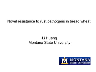 Novel resistance to rust pathogens in bread wheat



                  Li Huang
            Montana State University
 