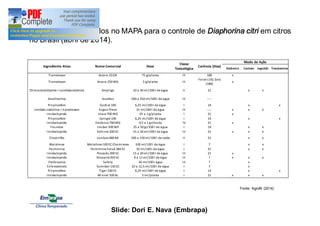 Agrotóxicos registrados no MAPA para o controle de Diaphorina citri em citros 
no Brasil (abril de 2014). 
Fonte: Agrofit (2014) 
Ingrediente Ativo Nome Comercial Dose Classe 
Toxicológica Carência (Dias) 
Modo de Ação 
Sistêmico Contato Ingestão Translaminar 
Tiametoxan Actara 10 GR 75 g/planta III 180 x 
Foliar (14); Solo 
Tiametoxan Actara 250 WG 3 g/planta III 
(180) x 
Chlorantraniliprole + Lambdacialotrina Ampligo 10 a 30 ml/100 l de água II 21 x x 
Azadiractina AzaMax 200 a 250 ml/100 l de água III ---- 
Piriproxifem Cordial 100 6,25 ml/100 l de água I 14 x x 
lambda-cialotrina + tiametoxam Engeo Pleno 15 ml/100 l de água III ---- x x x 
Imidacloprido Imaxi 700 WG 05 a 1 g/planta I 21 x 
Piriproxifem Epingle 100 6,25 ml/100 l de água I 14 x x 
Imidacloprido Evidence 700 WG 0,5 a 1 gr/muda IV 21 x 
Fosmete Imidan 500 WP 25 a 50 gr/100 l de água I 14 x x 
Imidacloprido Kohinor 200 SC 15 a 20 ml/100 l de água III 21 x x x 
Clorpirifós Lorsban 480 BR 100 a 150 ml/100 l de calda II 21 x x 
Malationa Malathion 100 EC Cheminova 100 ml/100 l de água I 7 x x 
Permitrina Permitrina Fersol 384 EC 10 ml/100 l de água I 21 x x 
Imidacloprido Provado 200 SC 15 a 20 ml/100 l de água III 21 x 
Imidacloprido Rotaprid 350 SC 9 a 11 ml/100 l de água III ? x x x 
Etofenproxi Safety 30 ml/100 l água III ? x 
Es fenvalerato Sumidan 150 SC 10 a 12,5 ml/100 l de água I 7 x 
Piriproxifem Tiger 100 EC 6,25 ml/100 l de água I 14 x x 
Imidacloprido Winner 100 AL 5 ml/planta I 21 x x x 
Slide: Dori E. Nava (Embrapa) 
 
